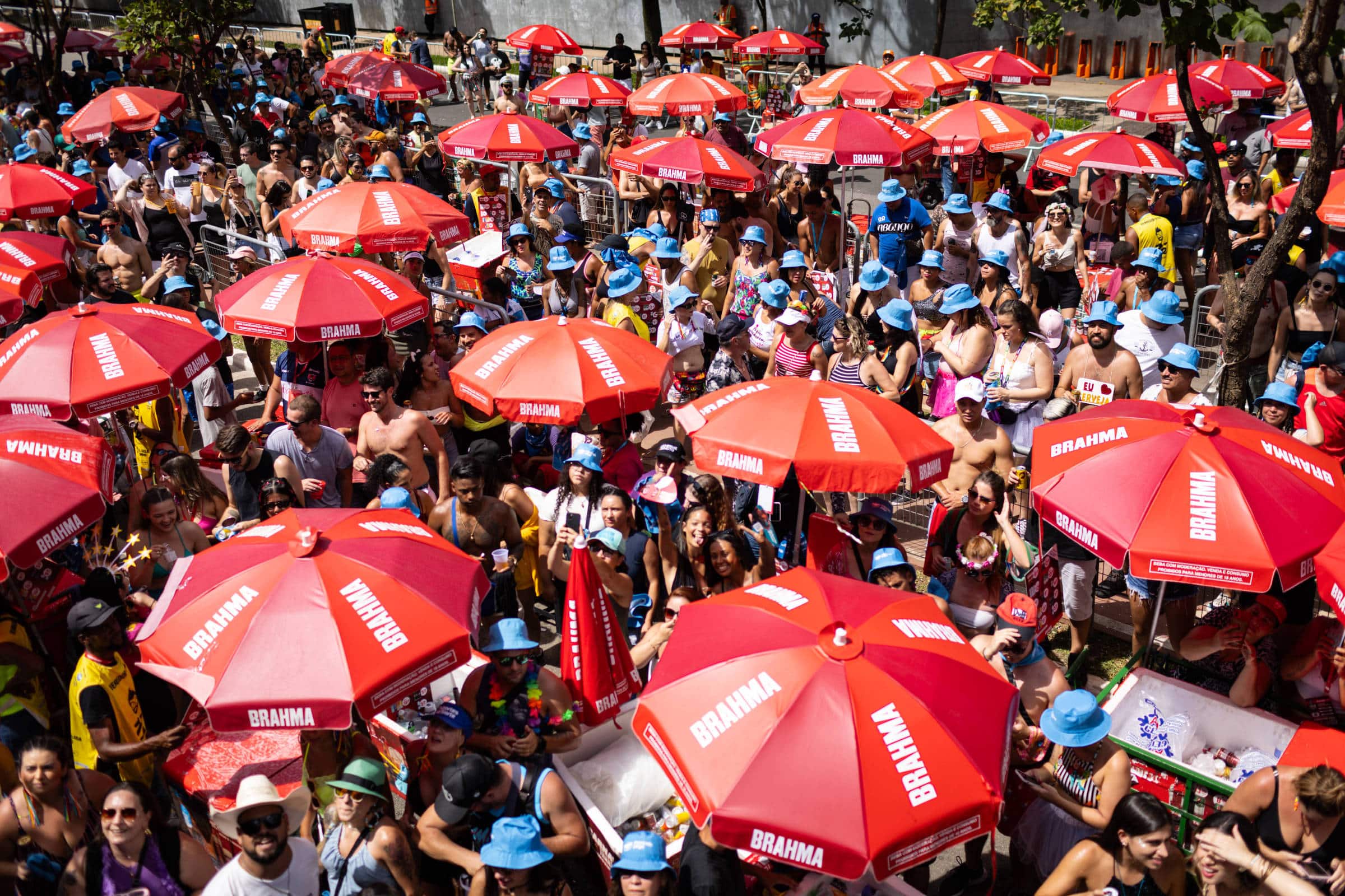 Desvende os Segredos Para Sobreviver ao Carnaval de Rua e Transforme Sua Folia!