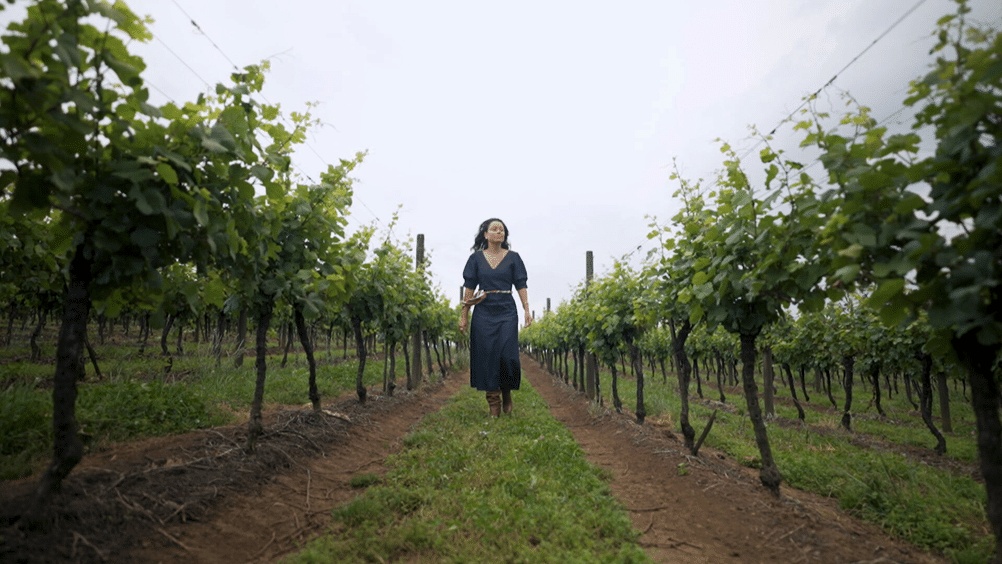 Surpreenda-se: Banquete Magnífico com Espumantes e Vinhos Naturais do RS!