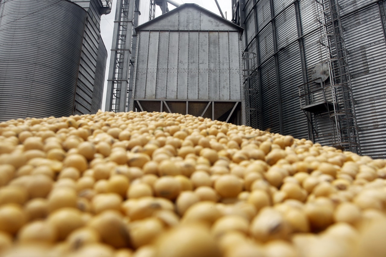 ALERTA CHOCANTE: Biocombustíveis NÃO Atingem a Produção de Alimentos no Brasil!
