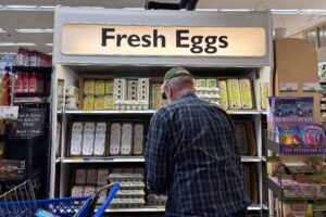 ⚠️ Crise dos Ovos: Gripe Aviária Coloca Preços nas Nuvens! 🥚💰