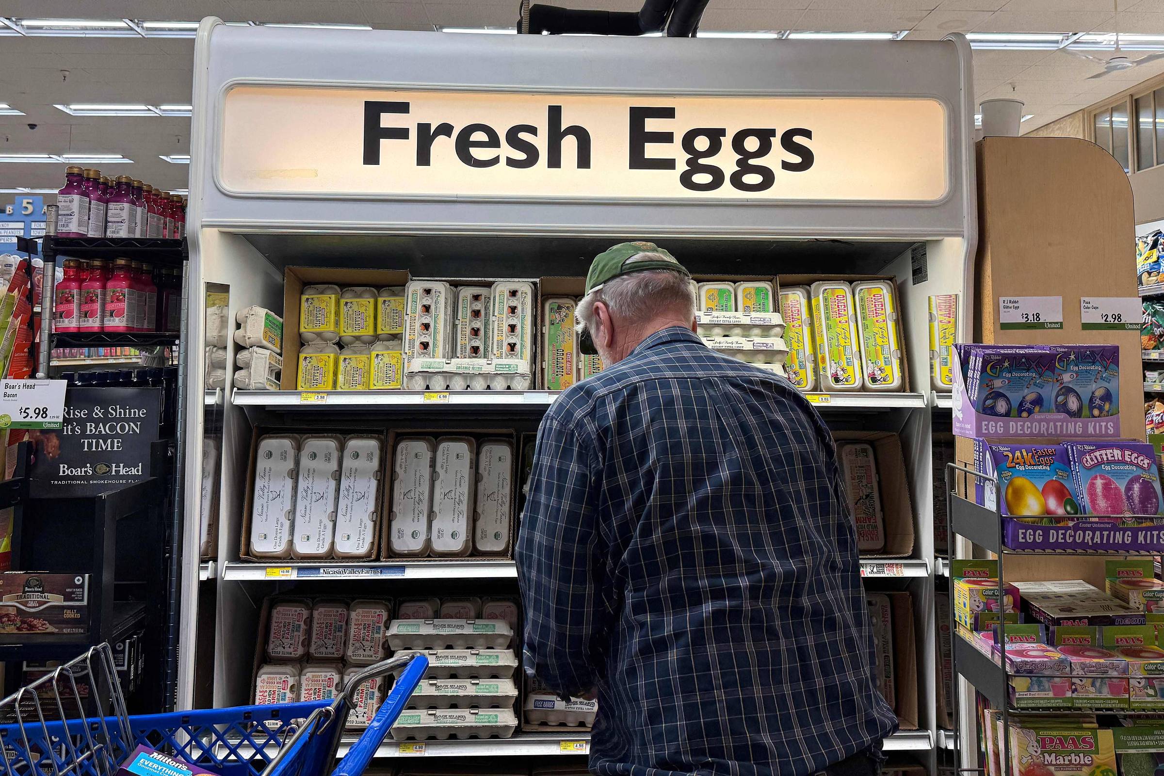 ⚠️ Crise dos Ovos: Gripe Aviária Coloca Preços nas Nuvens! 🥚💰