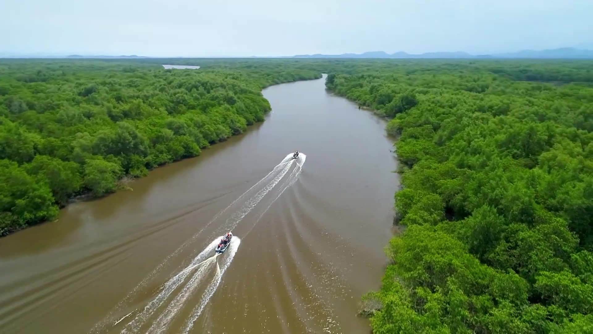 Descubra o Segredo Choque: Pantanal Fluminense, a Jóia Oculta a Só 10 km de Paquetá!