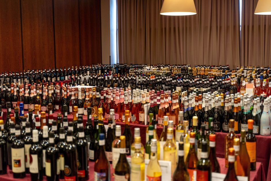 Descubra os VINHOS CHOCANTES do Brasil que vão TRANSFORMAR sua taça!