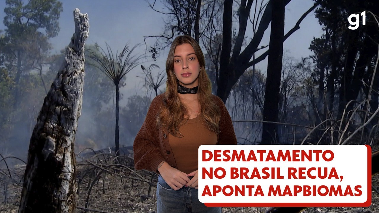 Governo em Fúria! Europa Despoja Brasil de Status "Seguro" Contra Desmatamento!