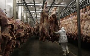 Marfrig Surpreende com Lucro Estrondoso de R$ 88 Milhões no 1º Trimestre: Alta de 40,3% de Deixar Qualquer um de Queixo Caído!