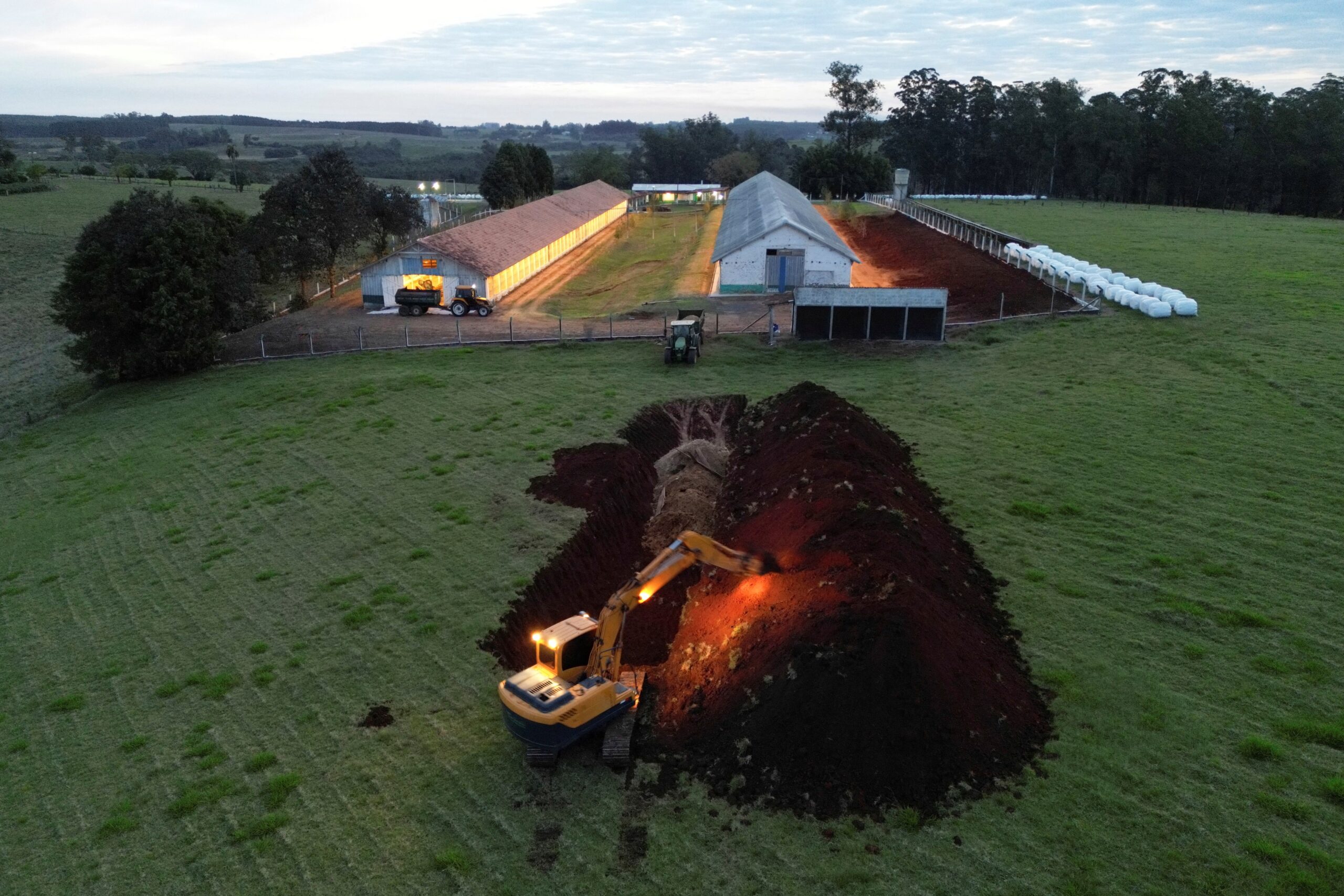 Ministro da Agricultura Revela: Gripe Aviária Sob Controle! Mas Atenção, o Pior Pode Vir!