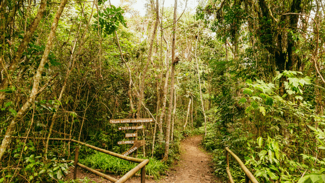SP Lança a Maior Trilha do País: Descubra os 5 Caminhos Imperdíveis que Você Precisa Explorar AGORA!