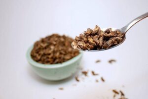 ALERTA: O que Comer Insetos Revela Sobre o Fim da Carne! 07/06/2025