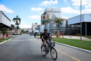 Basf Acelera Descarbonização: A Corrida Contra o Tempo Começou!