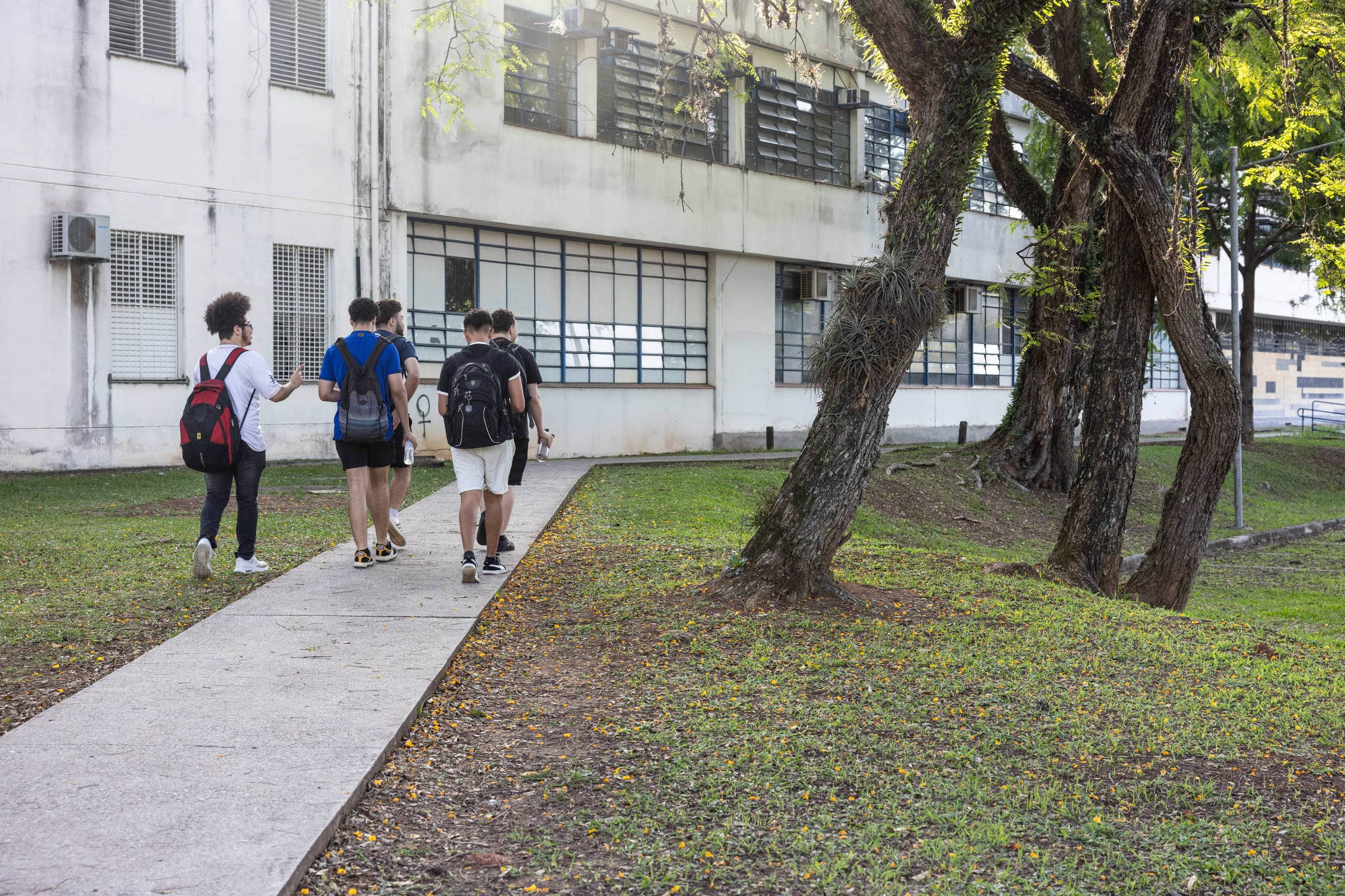 Brasil Chocante: 20% da População Agora Tem Ensino Superior!