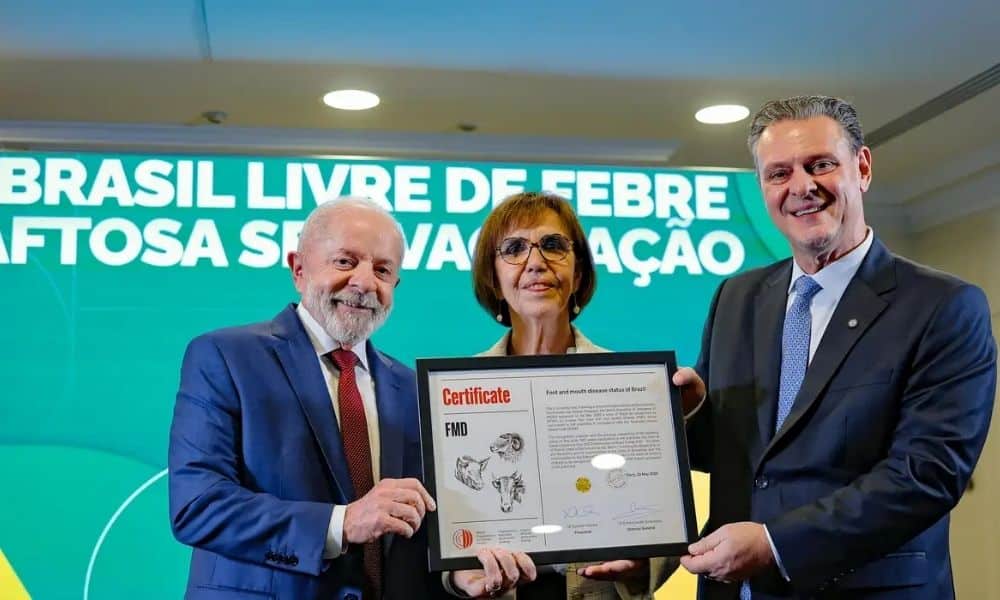 Brasil Conquista Explosiva: Terra Livre de Febre Aftosa!