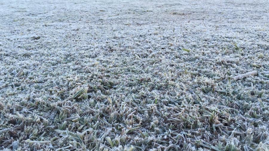 Frio Gela o País e Geadas Ameaçam nesta Terça!