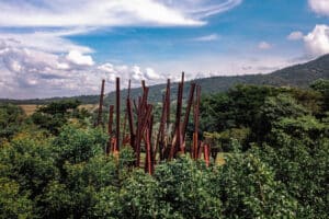 IMPENSÁVEL: Ciência Transforma Arte em Inhotim e Deixa Todos Estarecidos!