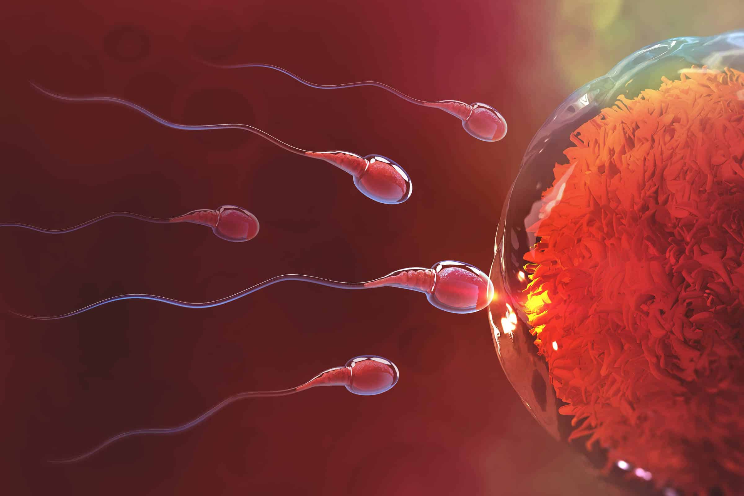 REVELAÇÃO CHOCANTE: Experimentos com Esperma de Laboratório Prometem CURAS para Infertilidade!