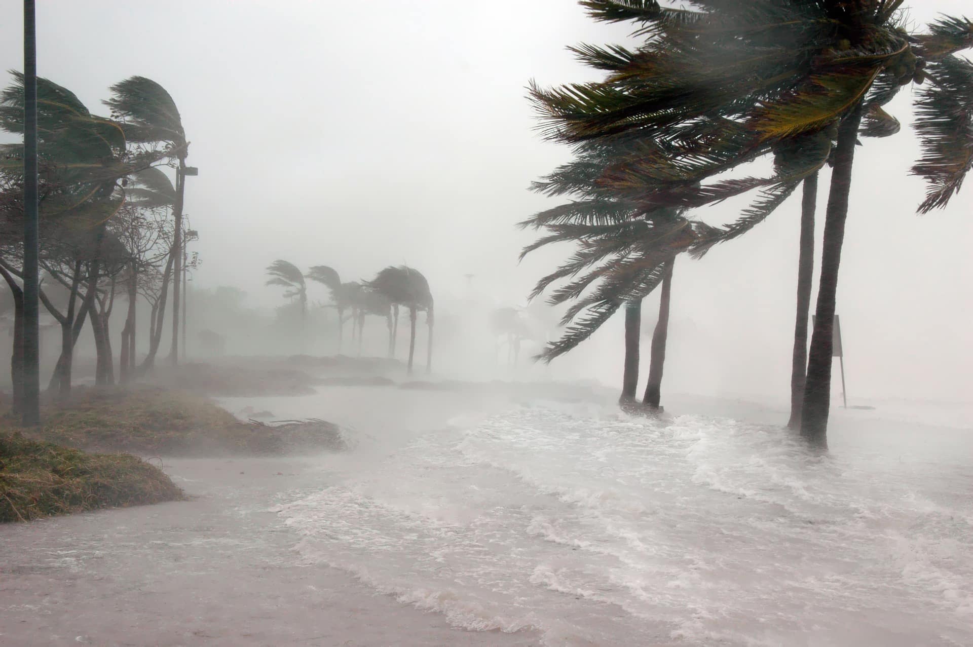 Tempestade Devastadora: Sul do Brasil Sofre com Ventos Furiosos e Granizo Nesta Terça-Feira!