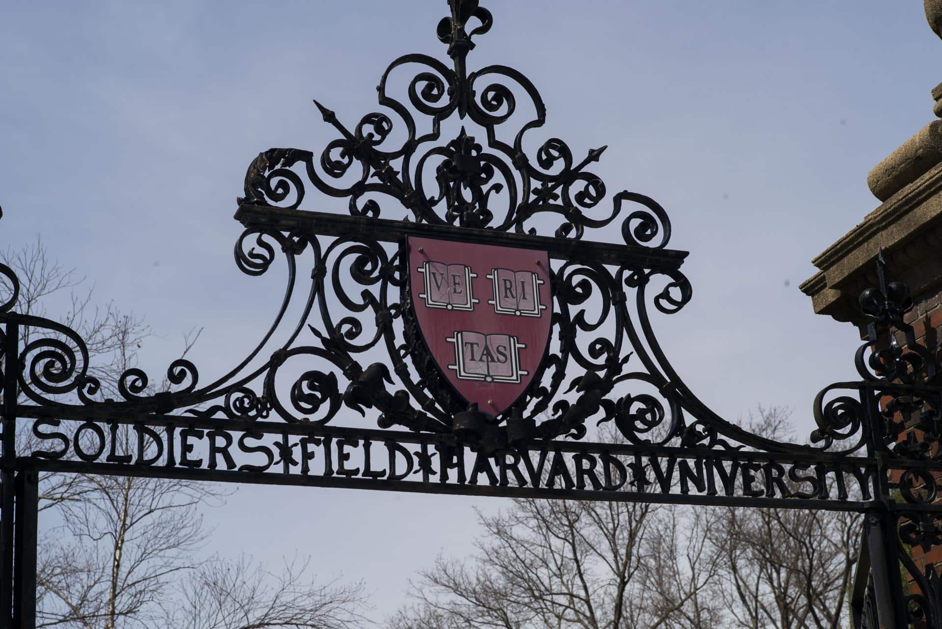 Trump BANHA MUNDO: Estrangeiros Barrados de Estudar em Harvard!