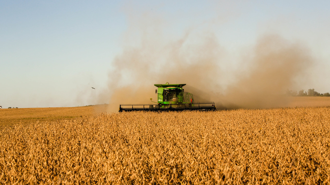 CHOCANTE: Soja e Biodiesel PODEM MUDAR a Economia e Atingir 6,4% do PIB em 2025!