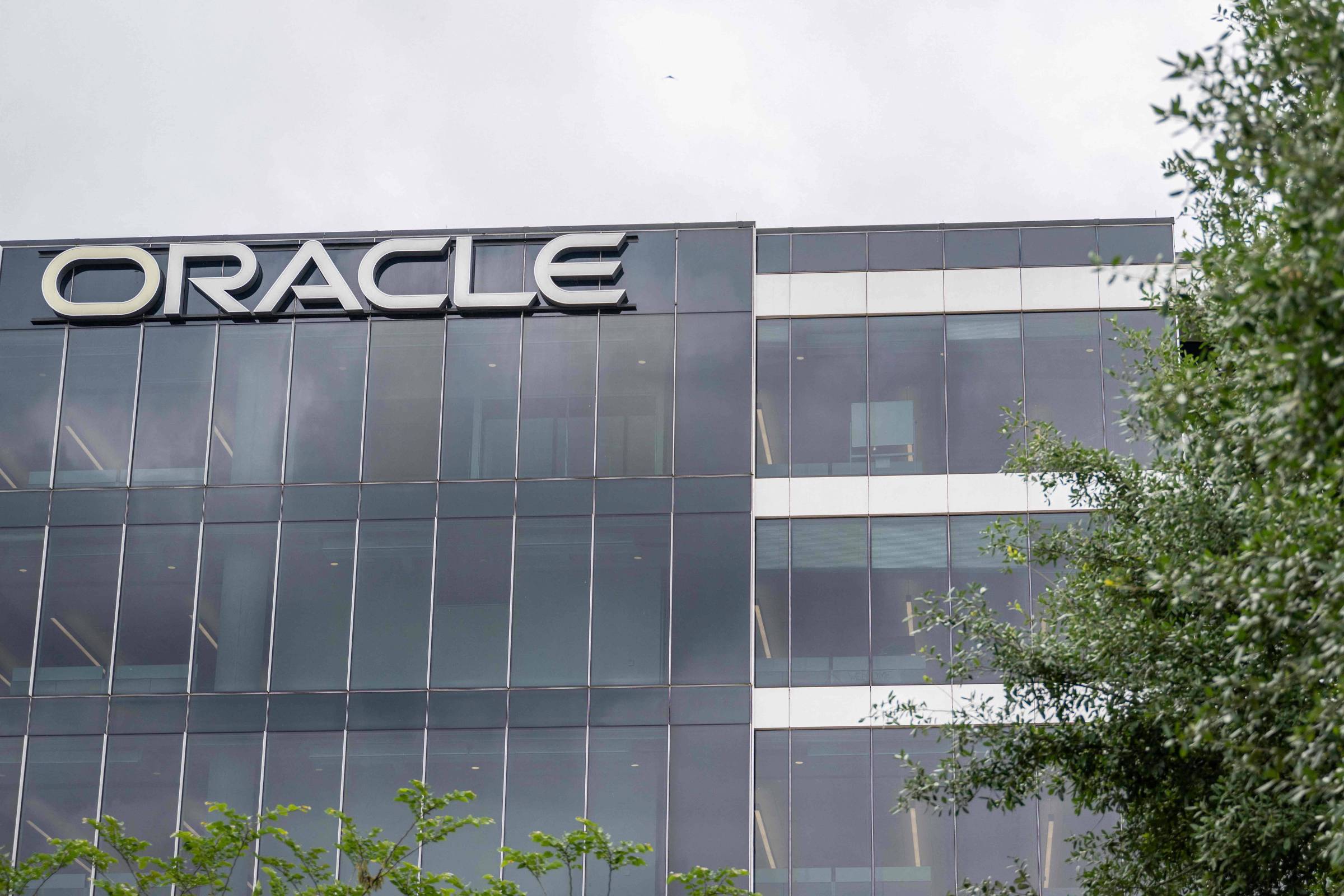 Oracle Explode! Ações Batem Recorde e Transformam O Mercado!