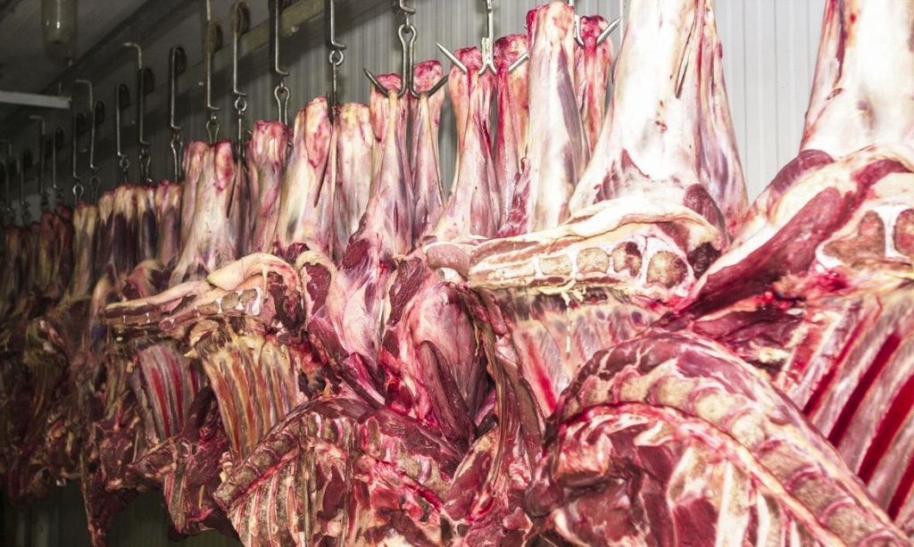 URGENTE: Frigoríficos Brasileiros à Beira do Colapso! Exportações de Carne para os EUA Sob Ameaça!