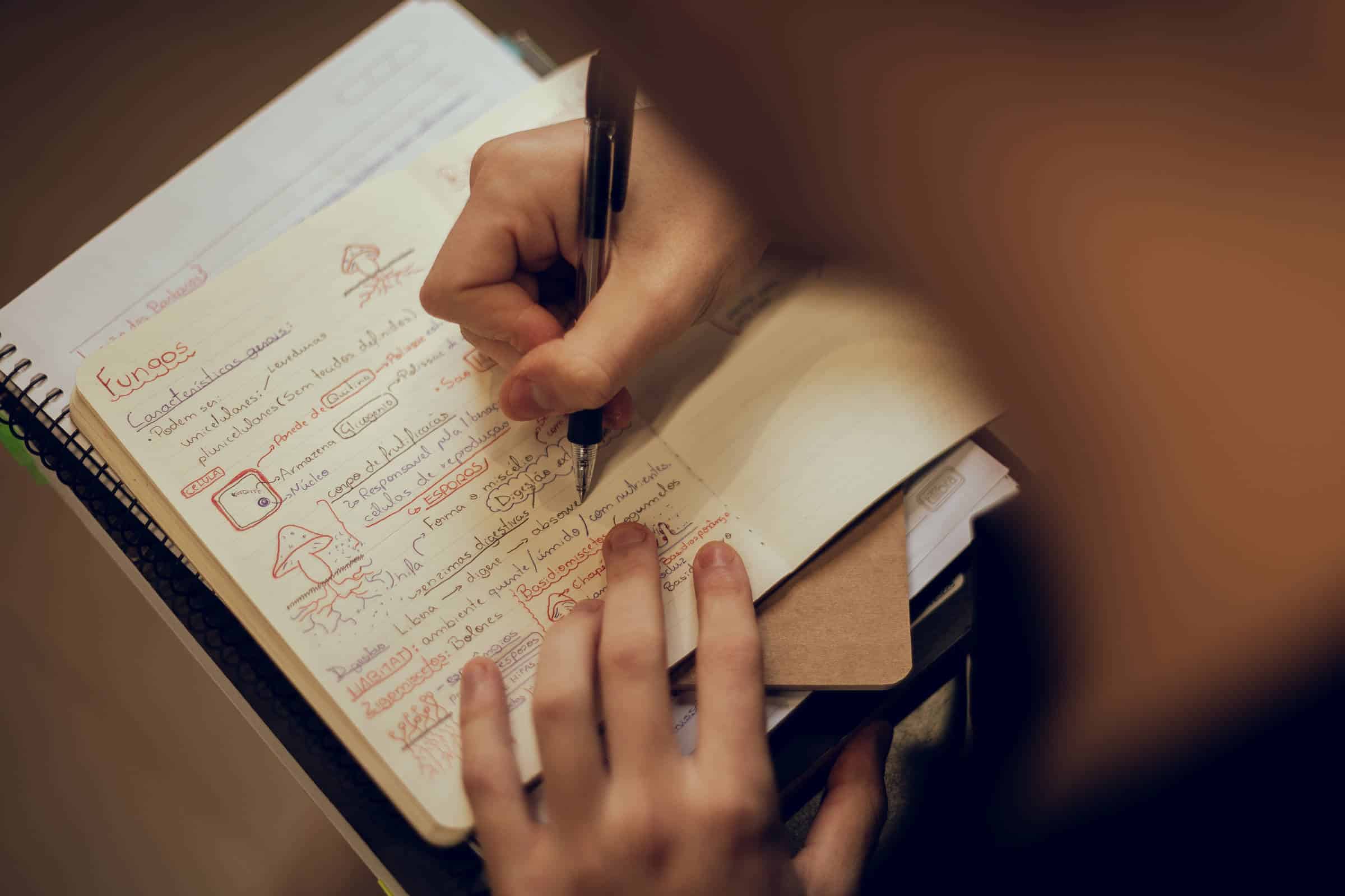 Vestibular à Vista: A Escolha da Carreira Que Pode Mudar Sua Vida! Descubra o que Ninguém Te Conta!