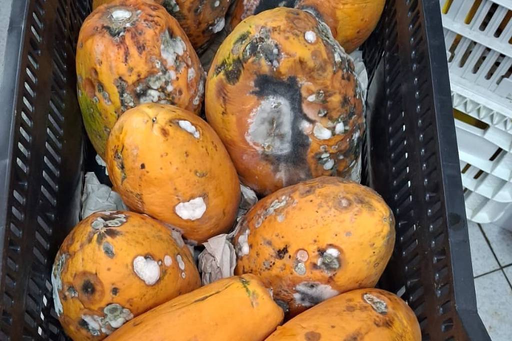 Escândalo: Promotoria Investiga Fornecedor de Marmitas em Escolas!