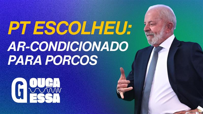 GOVERNO CHOCANTE: AR-CONDICIONADO OBRIGATÓRIO para animais em TRANSPORTE!