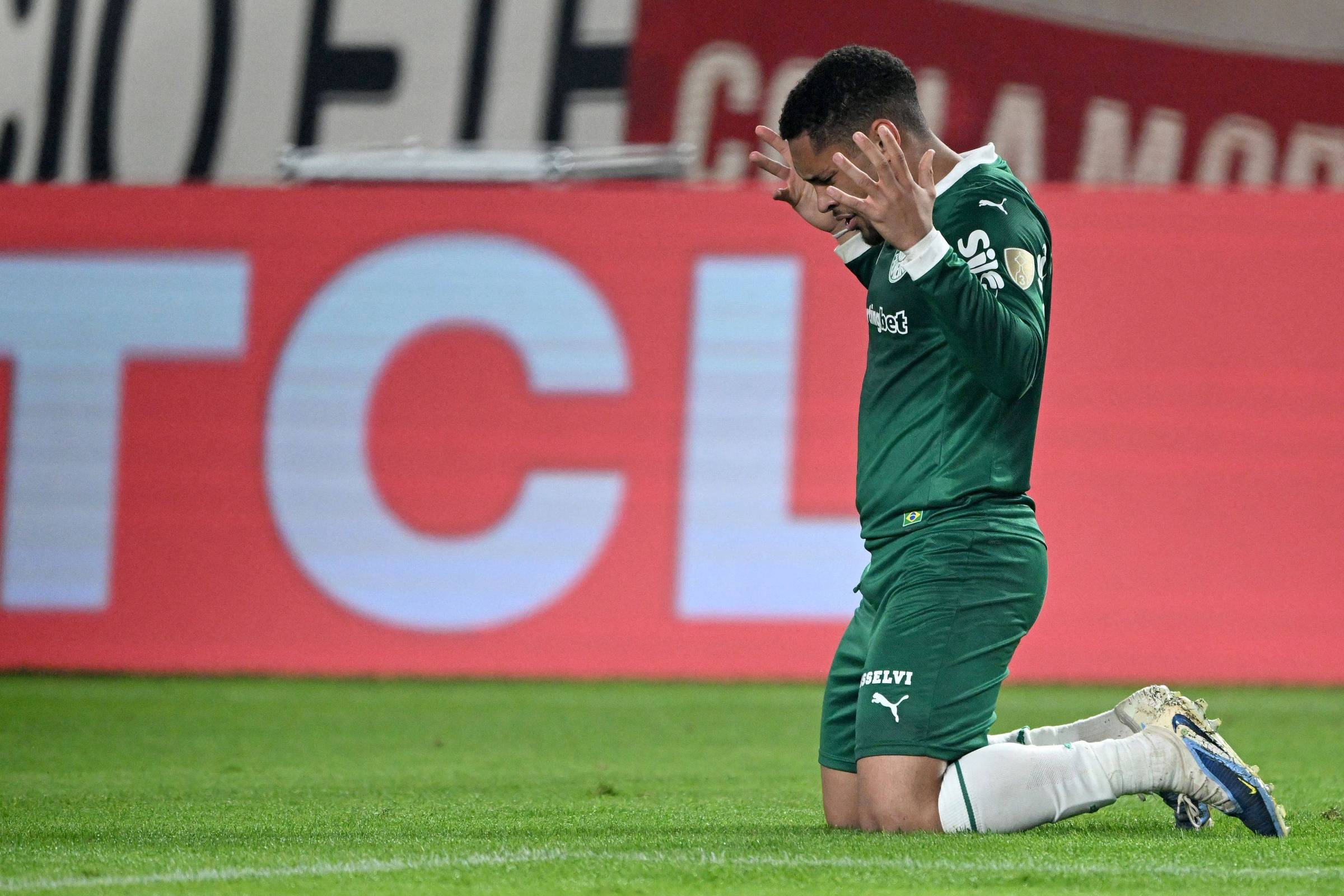 Palmeiras À Beira do Milagre: Quartas da Libertadores em Jogo!