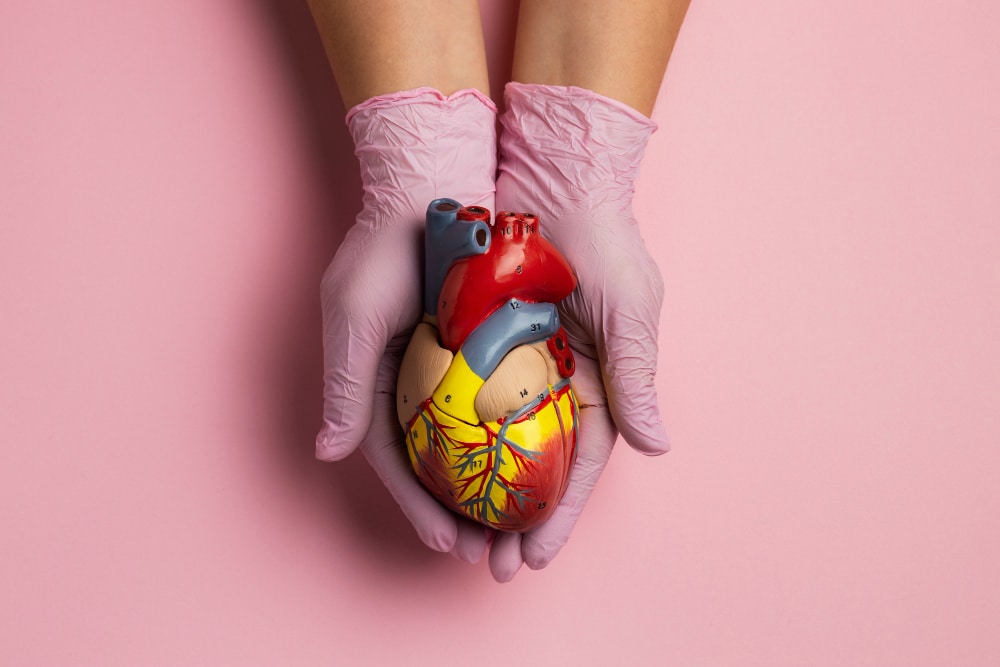 Revelação Bombástica: Angioplastia Coronária - O Tratamento que Pode Salvar Sua Vida em Minutos!