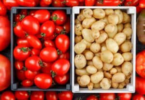 Revelação Surpreendente: Descubra Como Tomates Geraram as Batatas e Mudaram a Nossa Alimentação para Sempre!