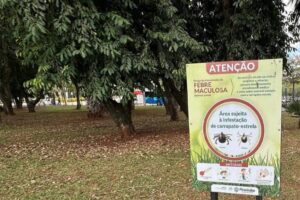 Tragédia: Criança Perde a Vida em Meio a Surto de Febre Maculosa em SP!