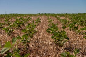 URGENTE: Lula Libera R$ 12 Bilhões para Salvar Produtores da Devastação Climática!