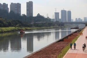 URGENTE: Tarcísio Anuncia PPP de R$ 9,5 Bi para SALVAR os Rios Tietê e Pinheiros!