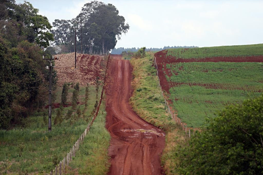 ESCÂNDALO RURAL: Buracos em estradas ROUBAM R$ 6,4 bilhões do Agro todo ano