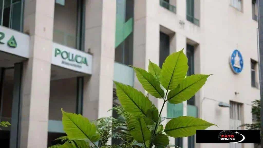 Impactos políticos da governança ambiental no Brasil