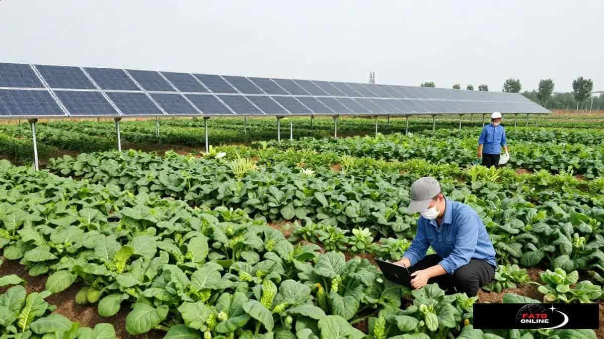 Tendências atuais em inovação no agronegócio Tendências atuais em inovação no agronegócio