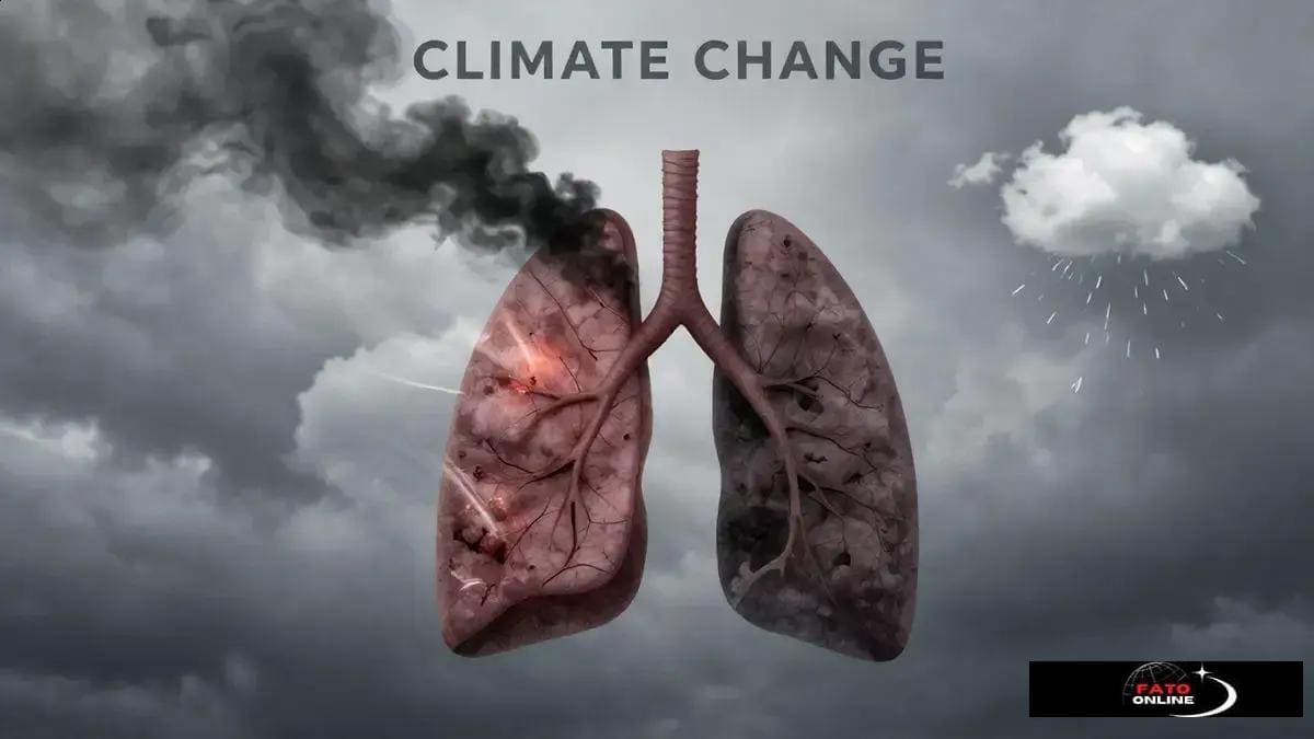Soluções para reduzir o impacto do clima