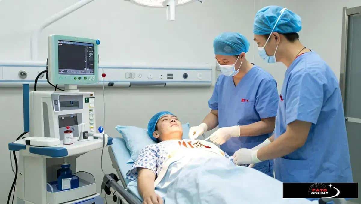 Como funcionam transplantes no Brasil: Entenda o processo e suas complexidades