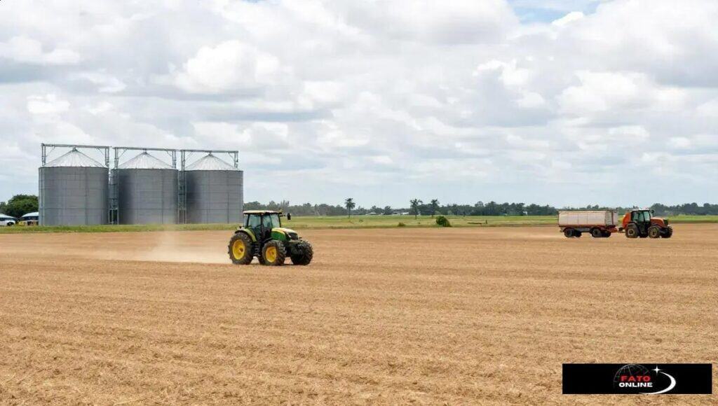 Como o agronegócio influencia câmbio, inflação e exportações: entenda os impactos essenciais